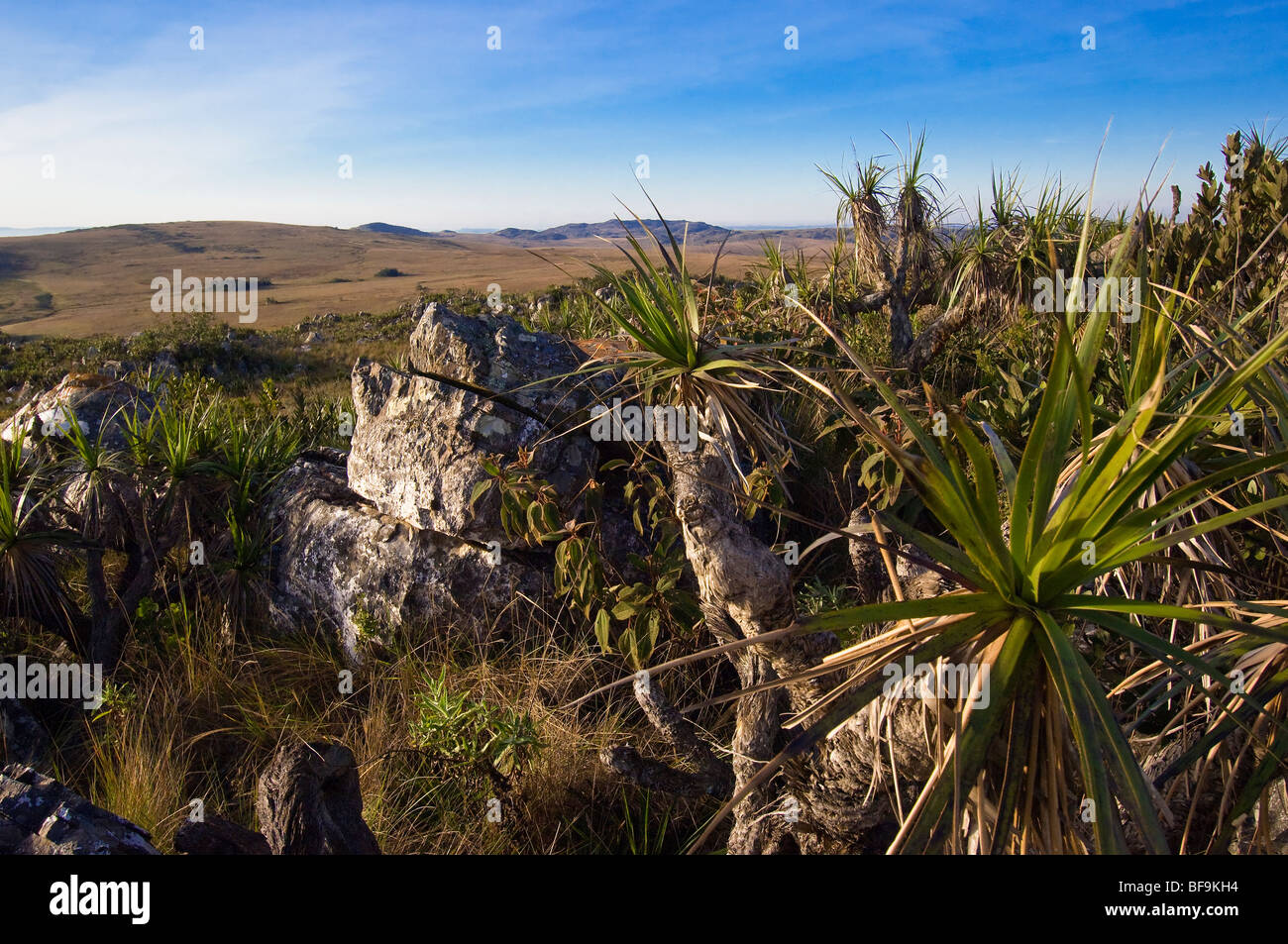 Le parc national Serra da Canastra, Minas Gerais, Brésil Banque D'Images