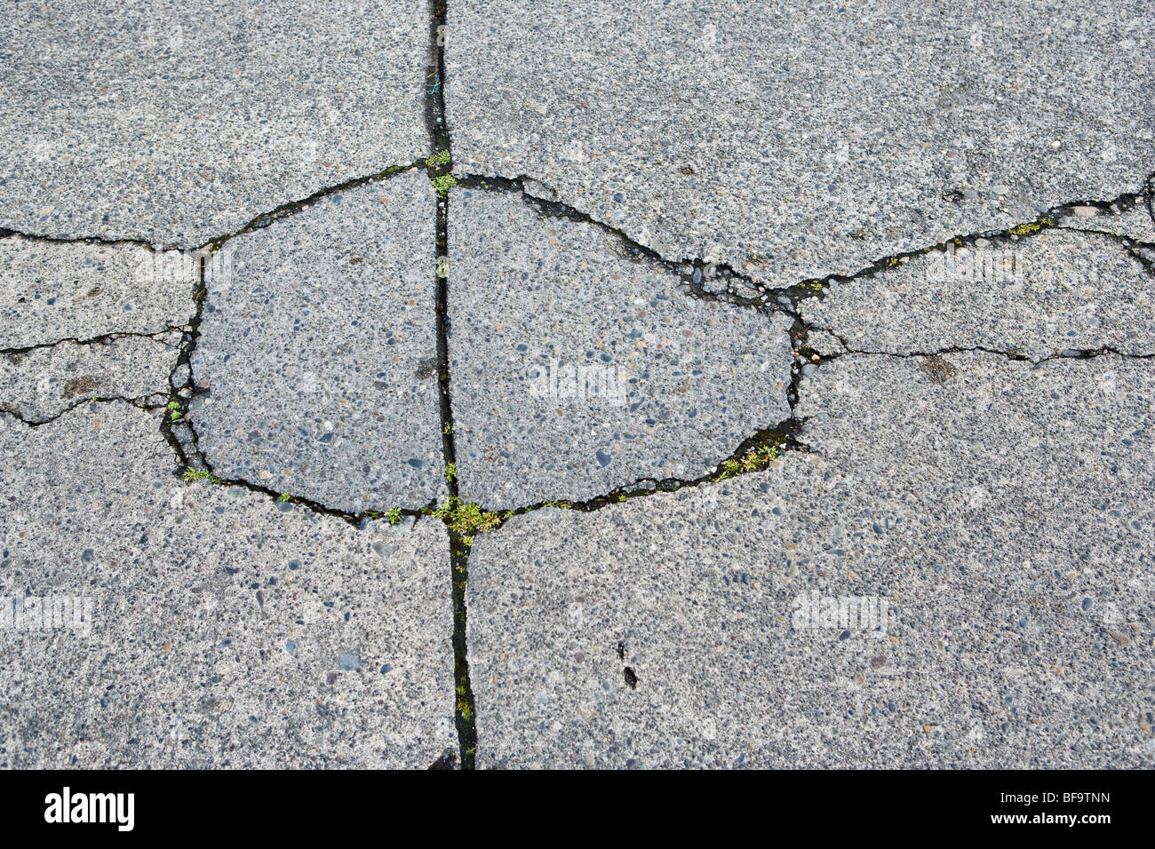 Des fissures dans la surface d'une rue bétonnée. Banque D'Images