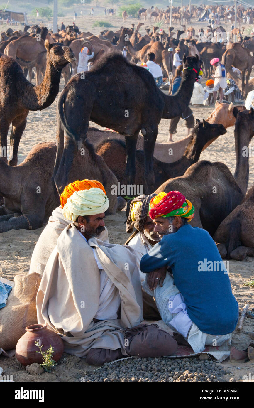 Les hommes à l'Rajput juste chameau à Pushkar Inde Banque D'Images