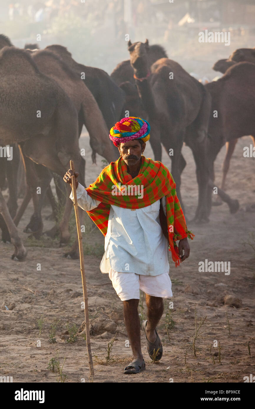 Homme Rajput et les chameaux à la Camel Fair de Pushkar Inde Banque D'Images