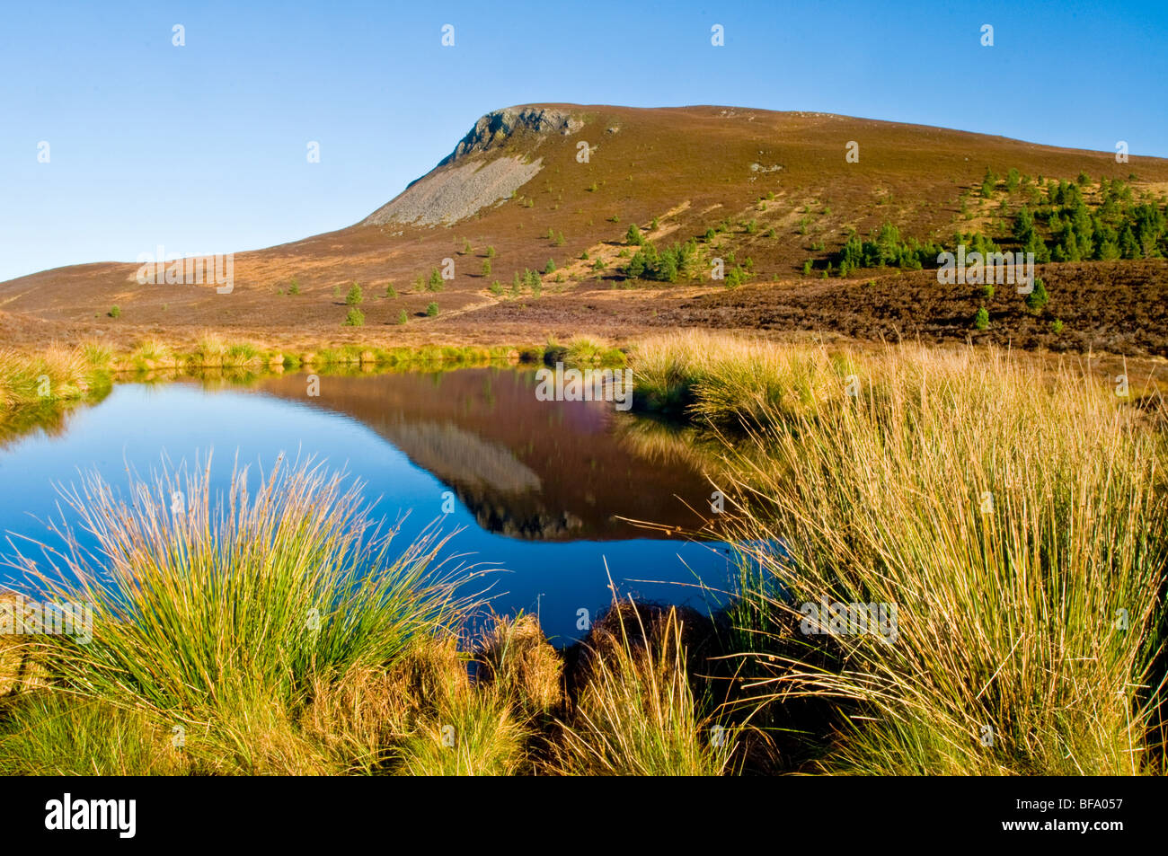 Un petit Lochan sur Dava Moor surplombant le Parc National de Cairngorms près de Grantown on Spey Moray Ecosse. 5518 SCO Banque D'Images