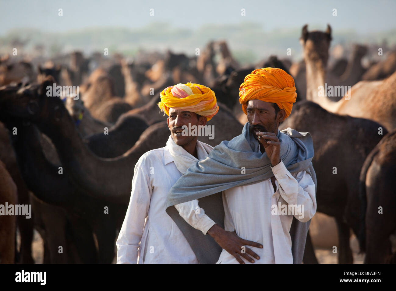 Des hommes et des chameaux à Rajput le chameau juste à Pushkar Inde Banque D'Images