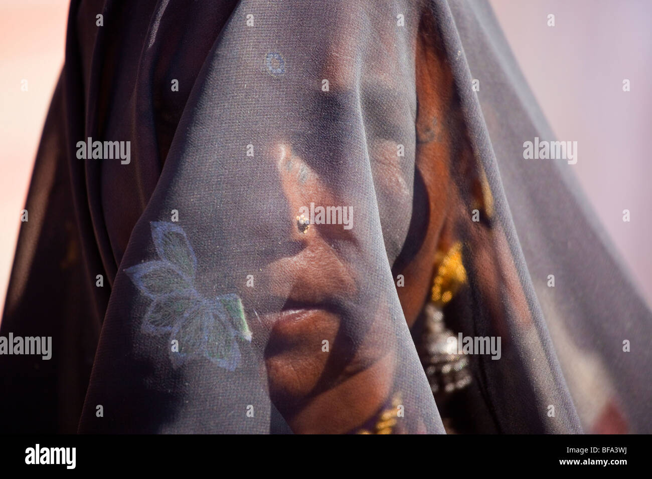 Femme Rajput voilée à Pushkar Inde Banque D'Images