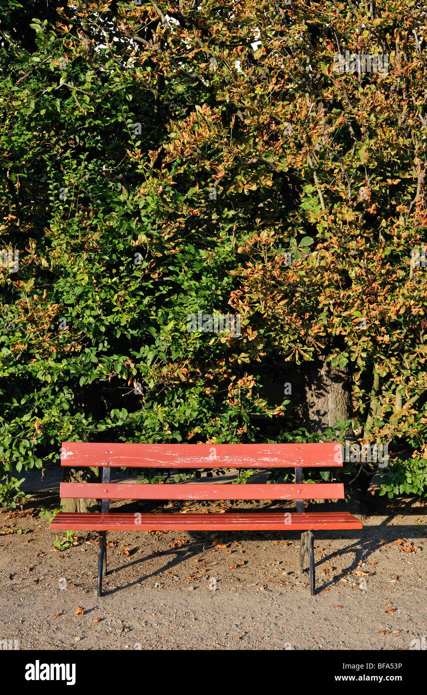 Banc vide au Jardin fleuri (Kvetna Zahrada), Kromeriz, République Tchèque Banque D'Images
