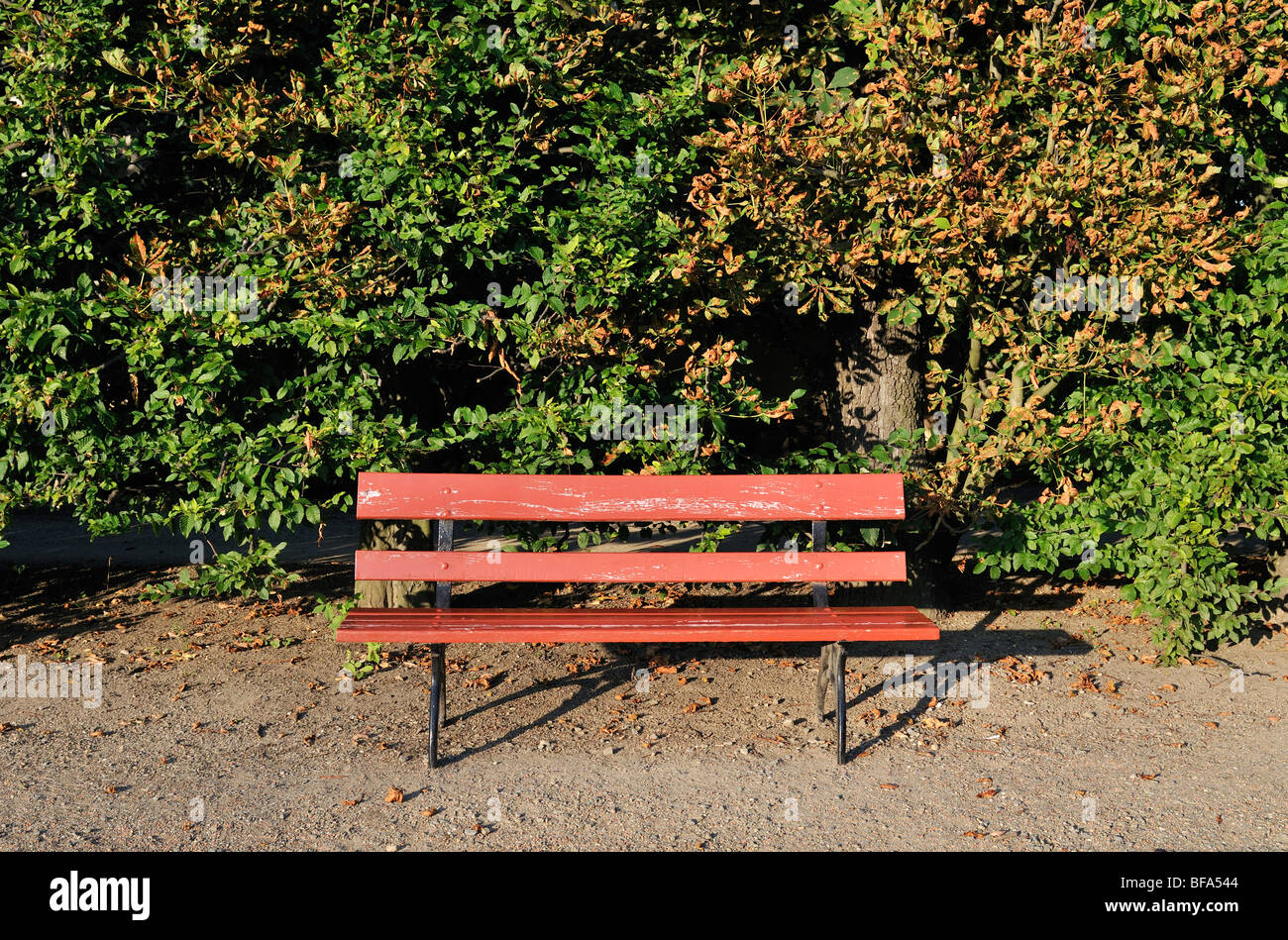 Banc vide au Jardin fleuri (Kvetna Zahrada), Kromeriz, République Tchèque Banque D'Images