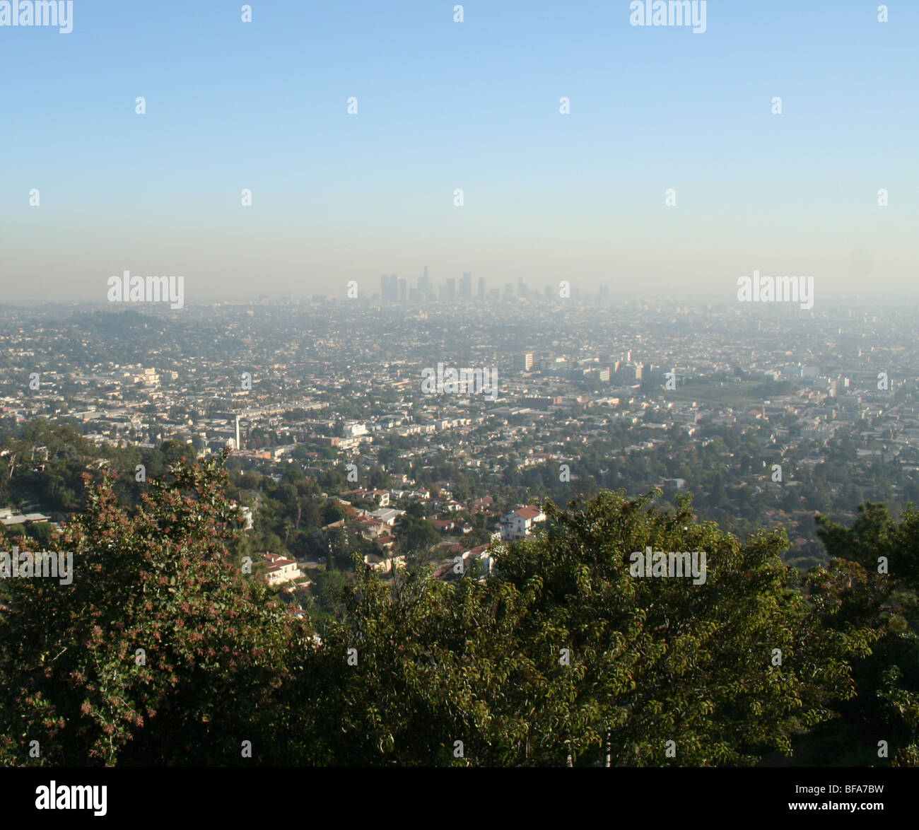 L'Observatoire de Griffith Park et Park, Los Angeles, Californie Banque D'Images