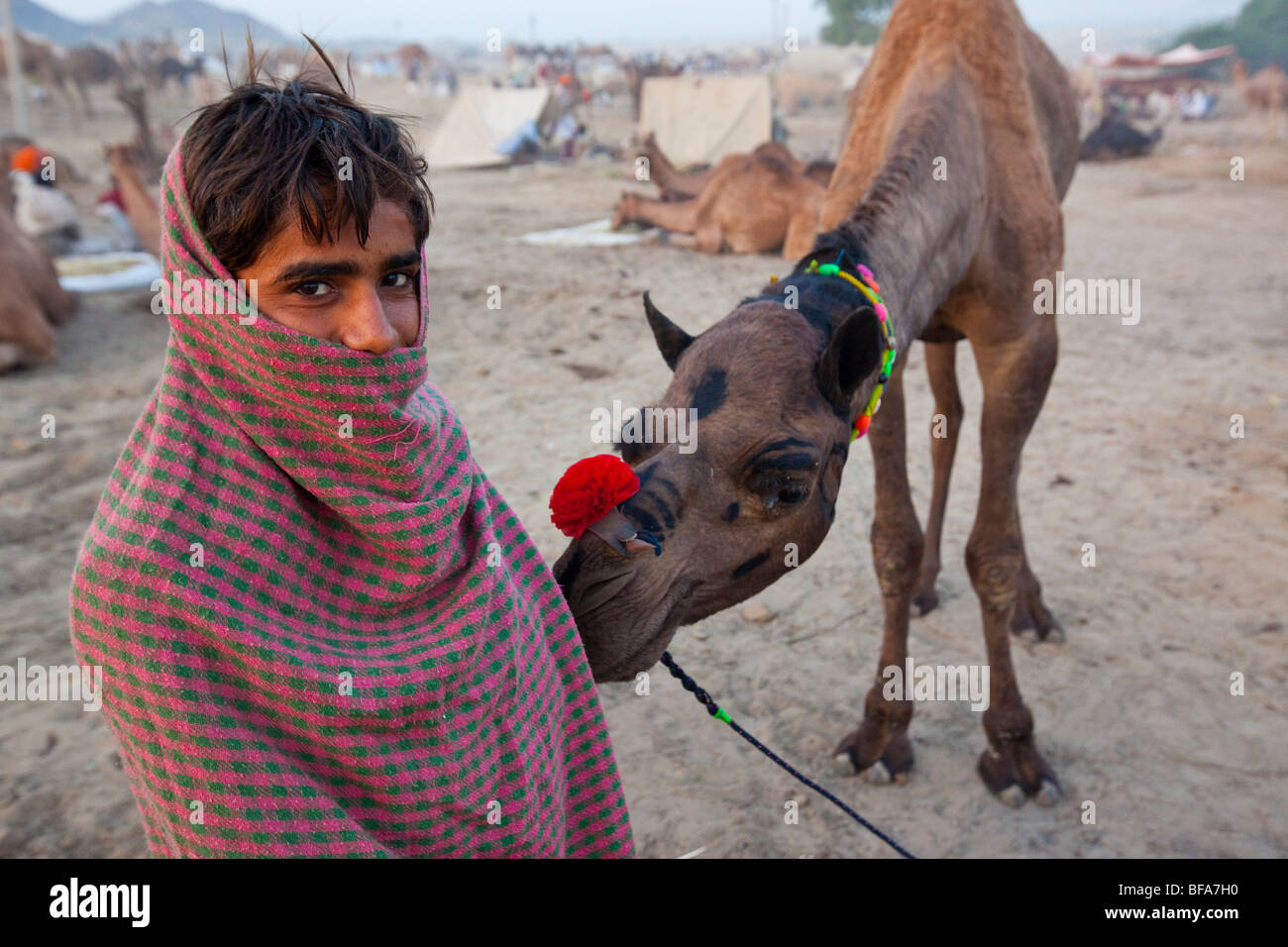 Garçon Rajput et son chameau dans la matinée à la Camel Fair de Pushkar Inde Banque D'Images