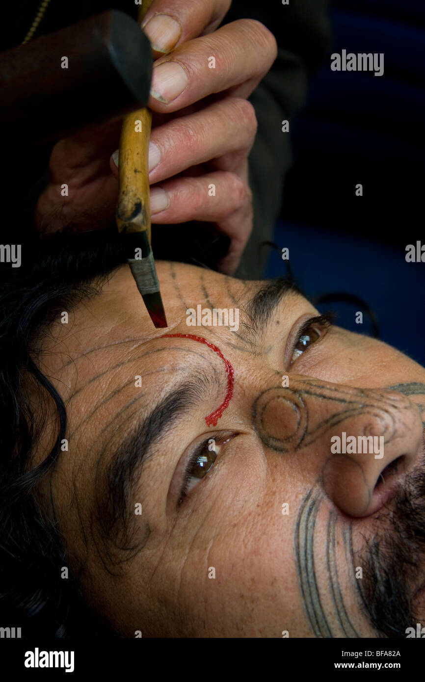 Shane Jones reçoit un moko (démonstration). Moko est traditionnel Maori sculpture de la peau Banque D'Images