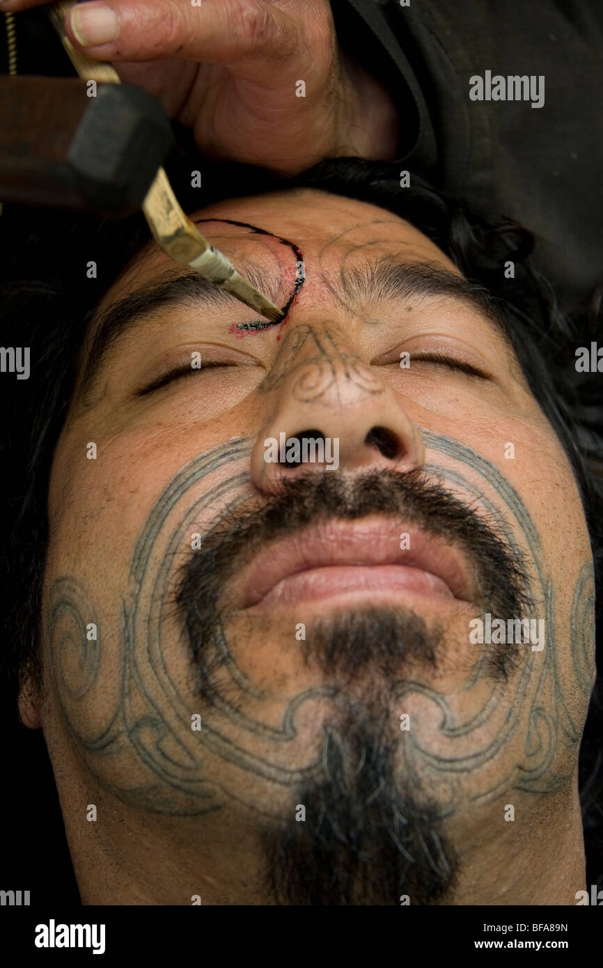Shane Jones reçoit un moko (démonstration). Moko est traditionnel Maori sculpture de la peau Banque D'Images