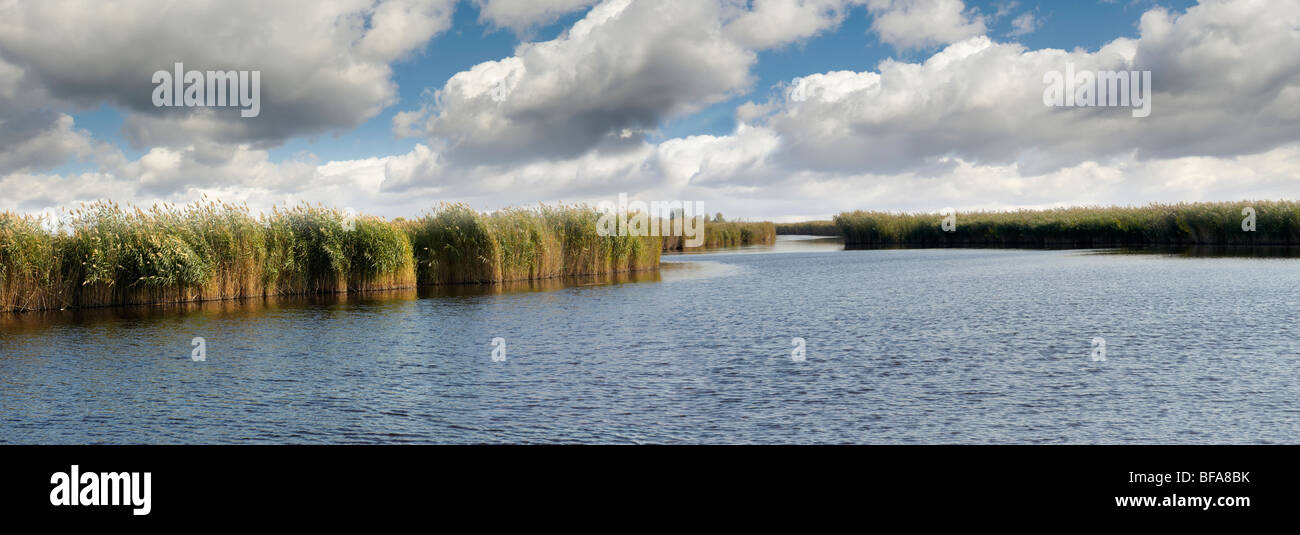 Le lac, la rouille ( hongrois : Ruszt ) , Burgenland, Autriche Banque D'Images