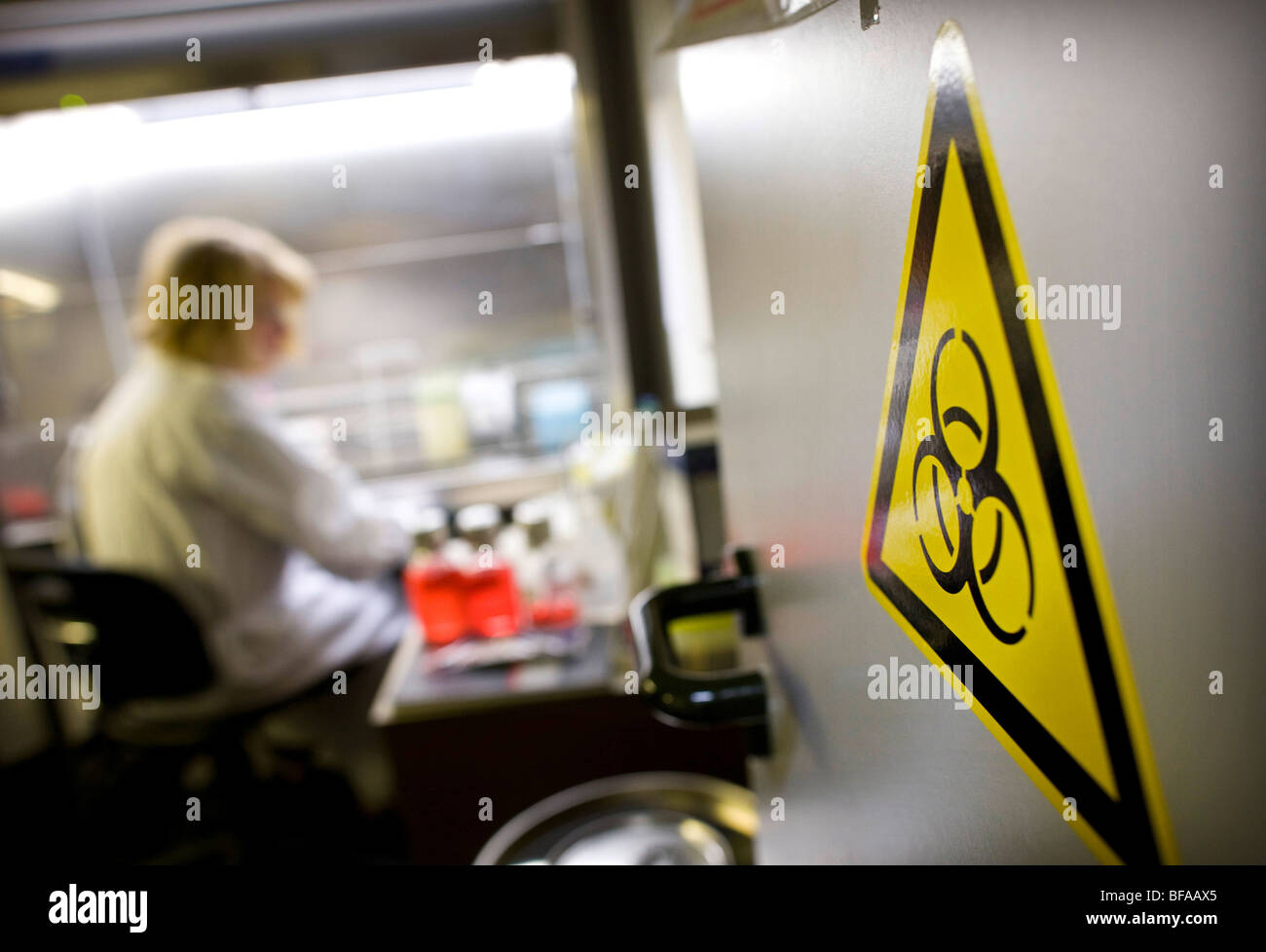 Assistant de laboratoire dans une main-d'œuvre pour les diagnostics cliniques de virus de l'influenza à Robert Koch-Institute . Berlin , Allemagne Banque D'Images