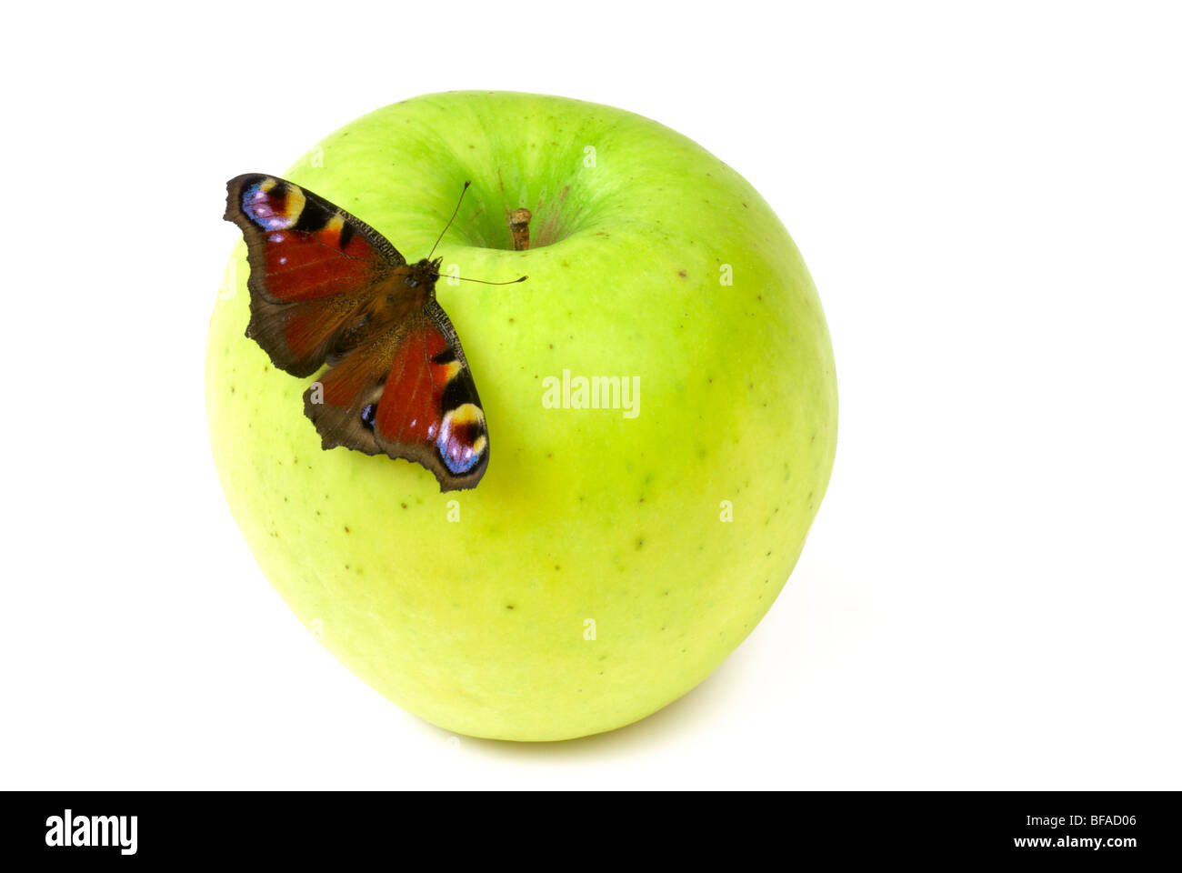 L'Peacock (Nymphalis io). Peacock papillon macro sur pomme verte. Banque D'Images