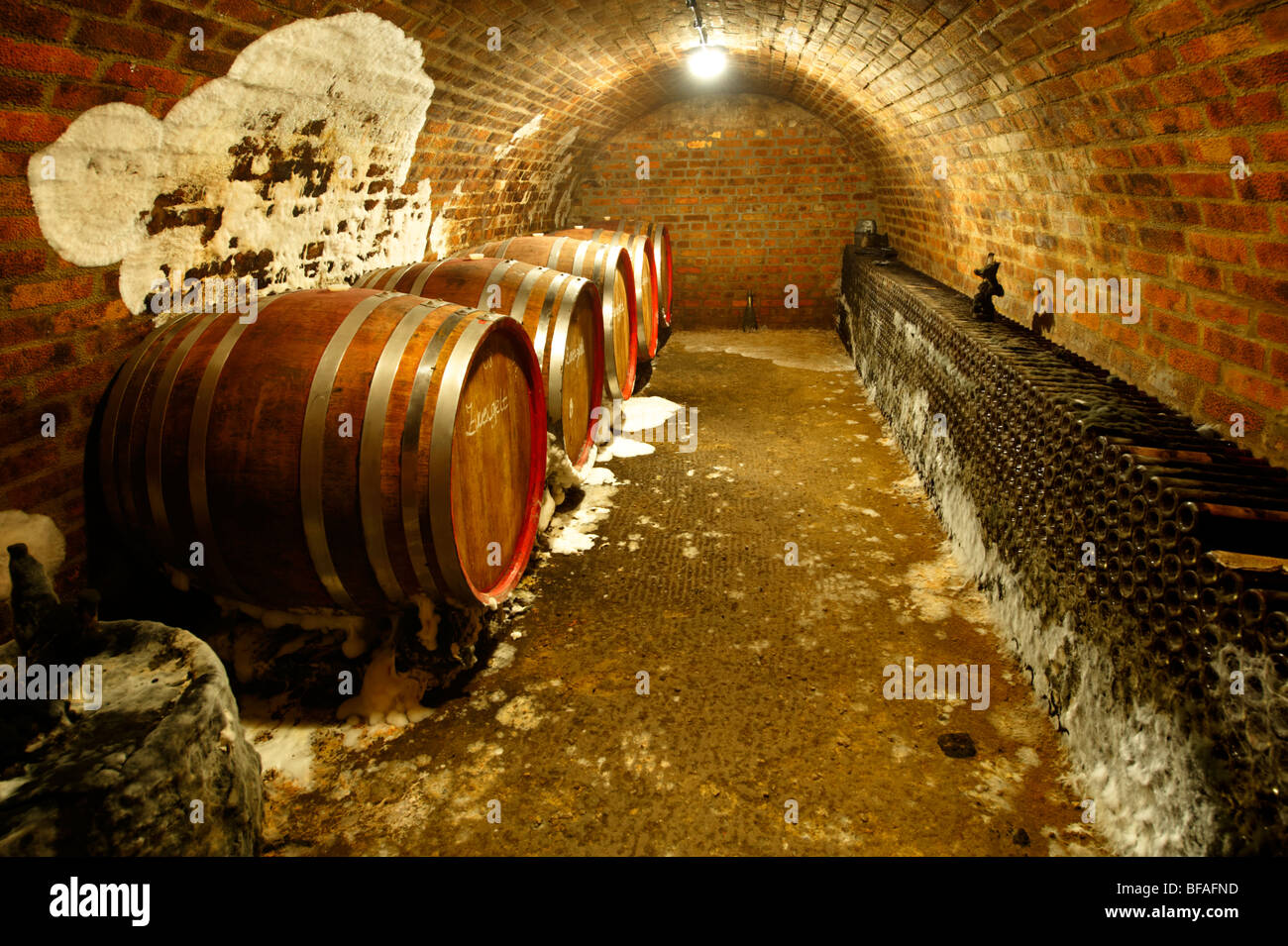 Caves à vin Kovacs' des tonneaux de vin et des bouteilles ( z ) Kov cs Borh Hajos ( Haj s) ; Hongrie ; Banque D'Images