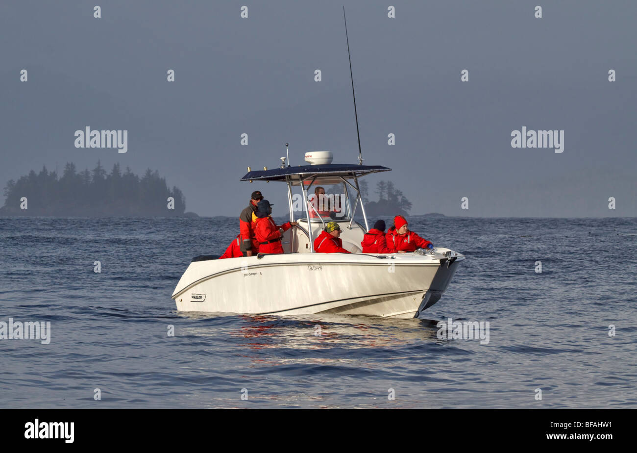 L'observation des baleines près de Tofino, Vancouver Island, British Columbia Banque D'Images