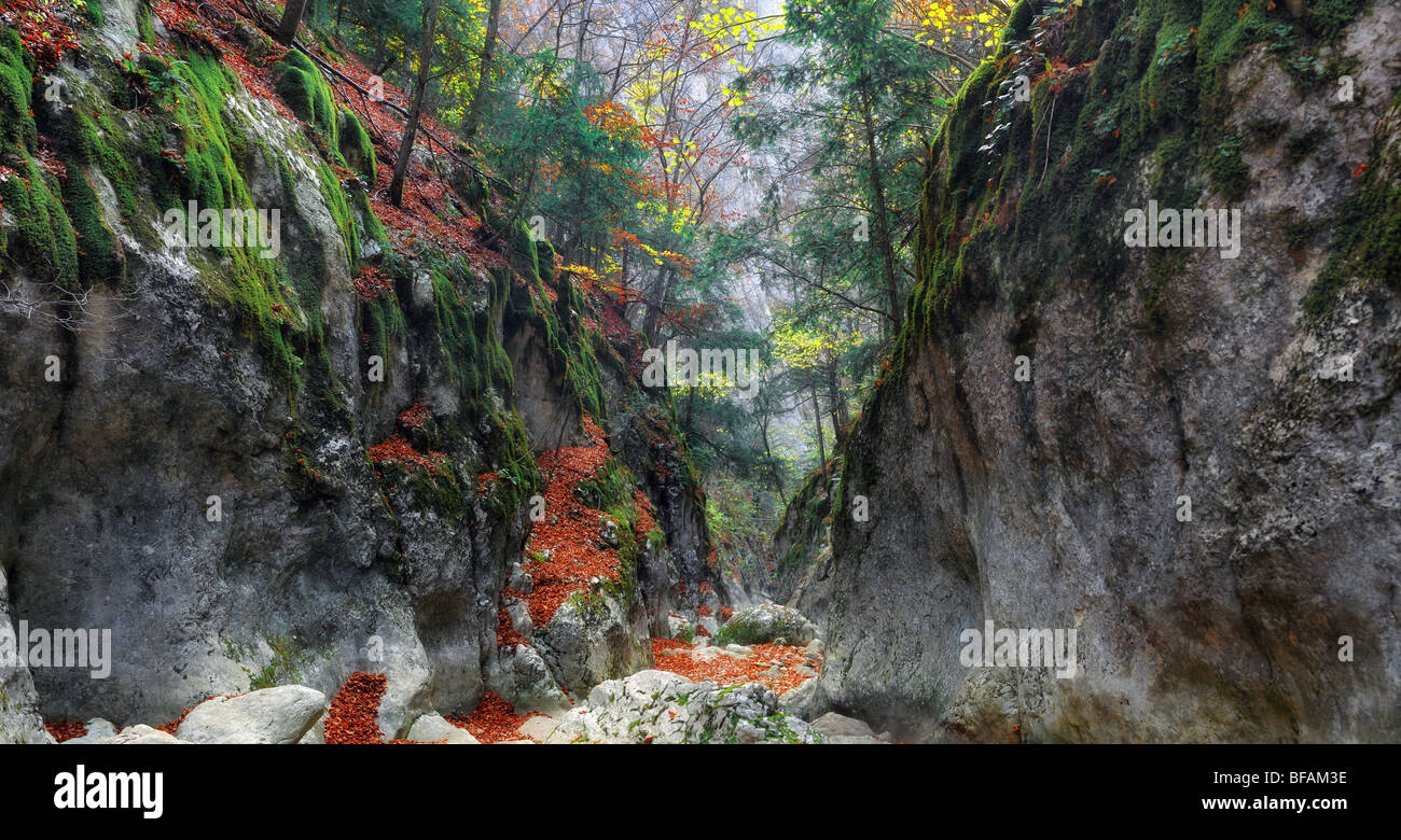 Piste dans la gorge de le Grand Canyon de Crimée à l'automne Banque D'Images