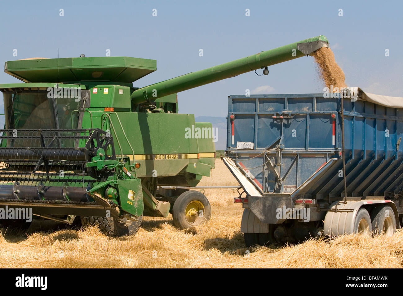 La récolte de blé dans la région de comté de Canyon, Arizona, USA. Banque D'Images
