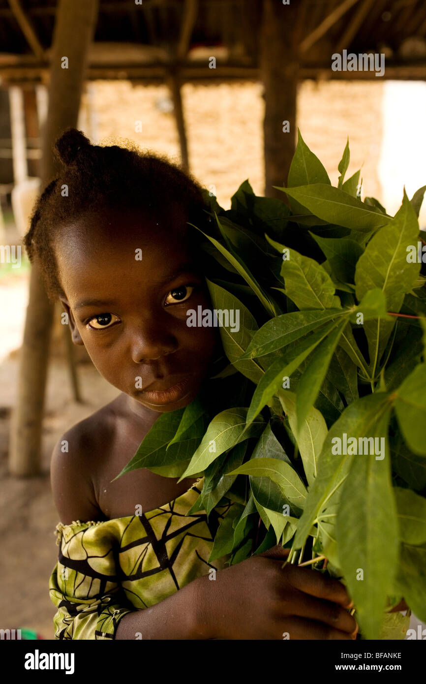 Fille avec les feuilles de manioc prêt à être battu pour un repas. Kingsville, au Libéria, en Afrique de l'Ouest. Banque D'Images