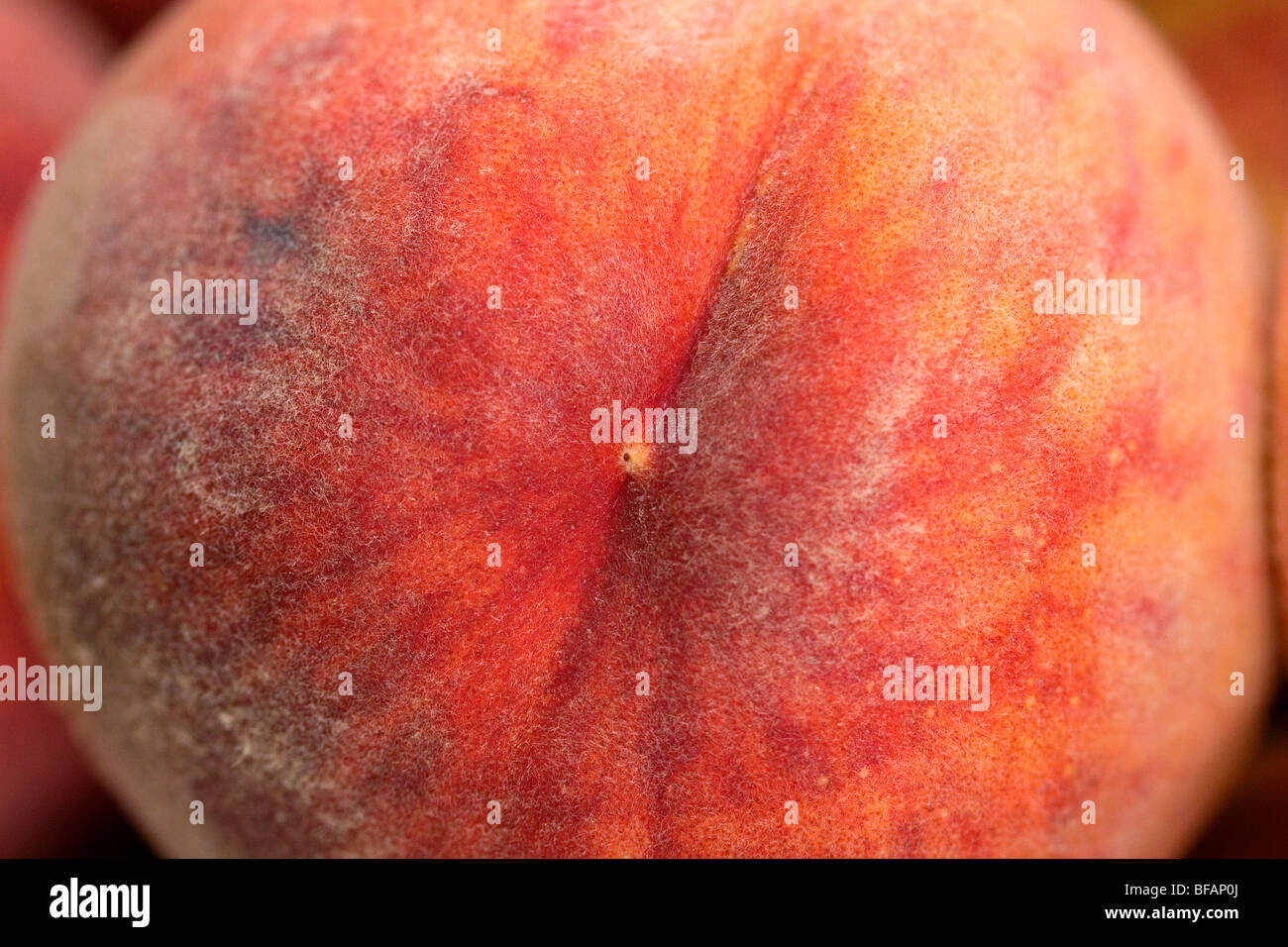 Peach. Banque D'Images