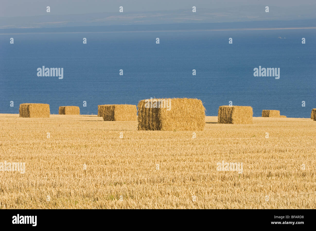 La mise en balles de paille après récolte de céréales. Au-dessus de Gardenstown, Ecosse, Royaume-Uni Banque D'Images