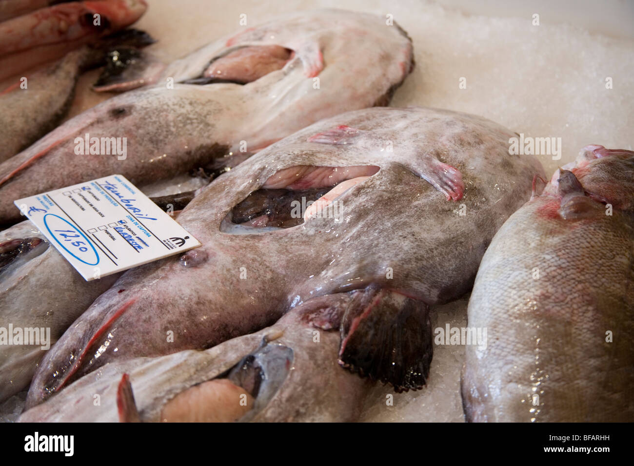 Lotte fraîche à l'intérieur du marché aux poissons, Lagos, Portugal Banque D'Images