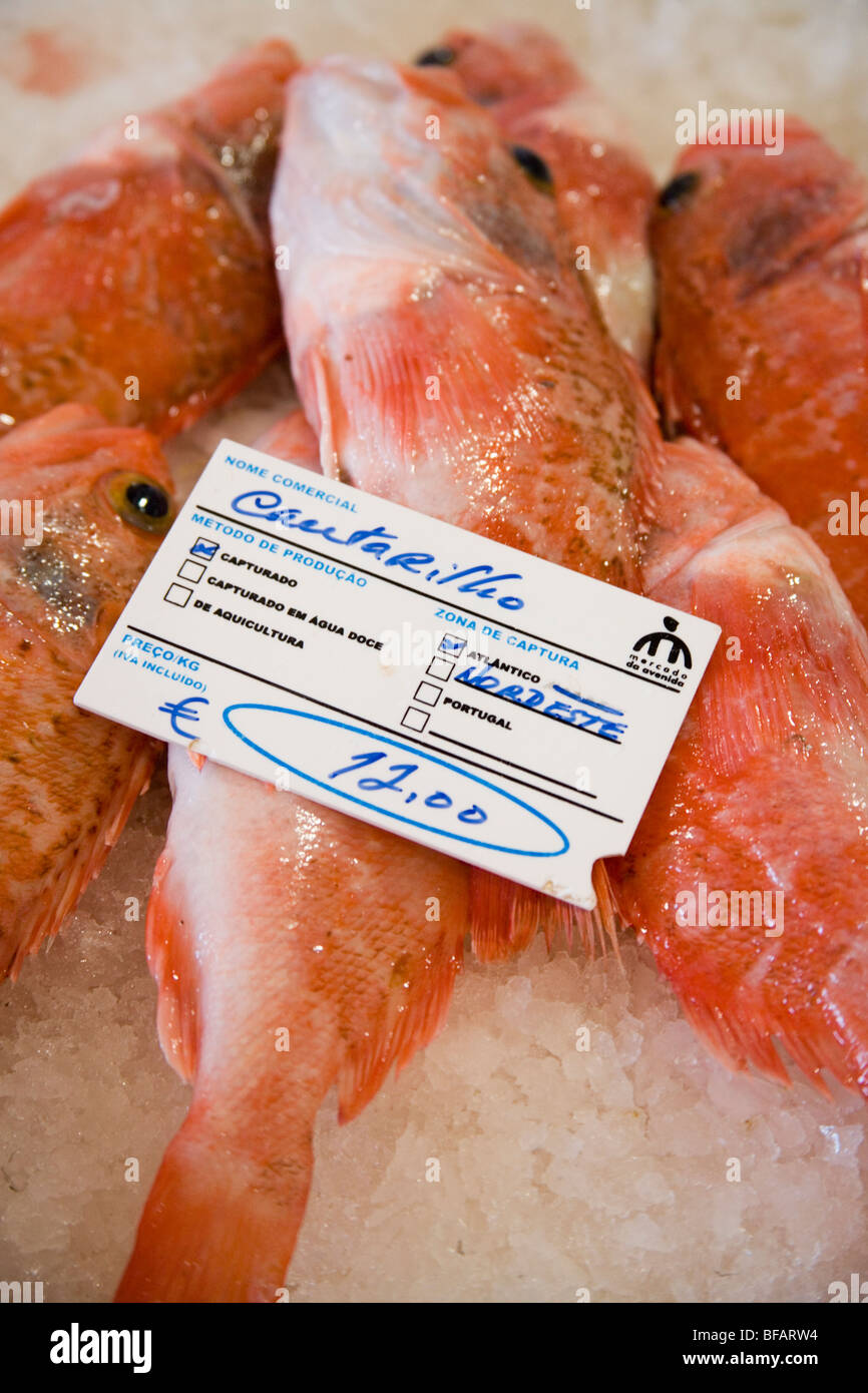 Du poisson frais à l'intérieur du marché aux poissons, Lagos, Portugal Banque D'Images