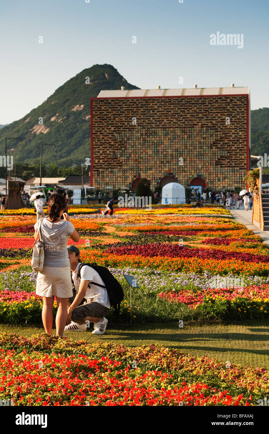 Séance de photos au milieu des fleurs à la place Gwanghwamun à Séoul, Corée du Sud. Banque D'Images