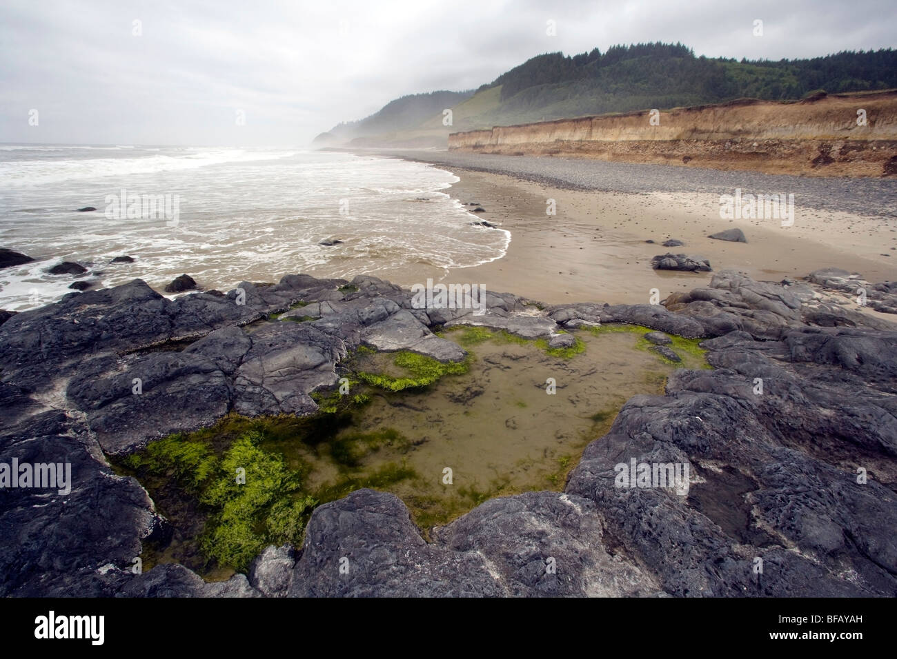 Les bassins de marée au beach - Carl G. Memorial Washburne State Park - près de Florence, Oregon USA Banque D'Images