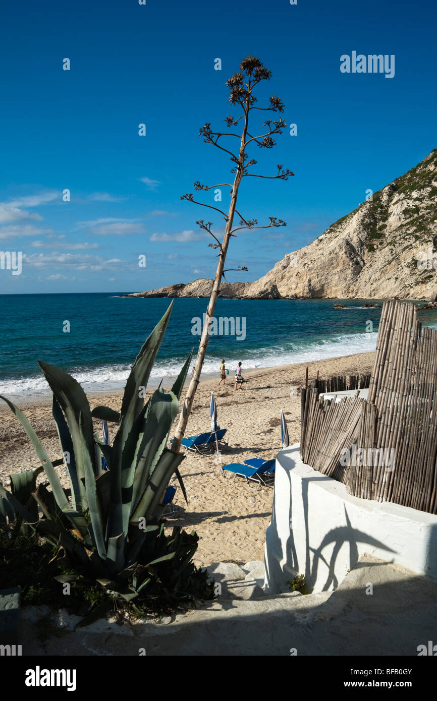 Petani Beach sur la côte ouest de la péninsule de la Grèce Céphalonie Pali Banque D'Images