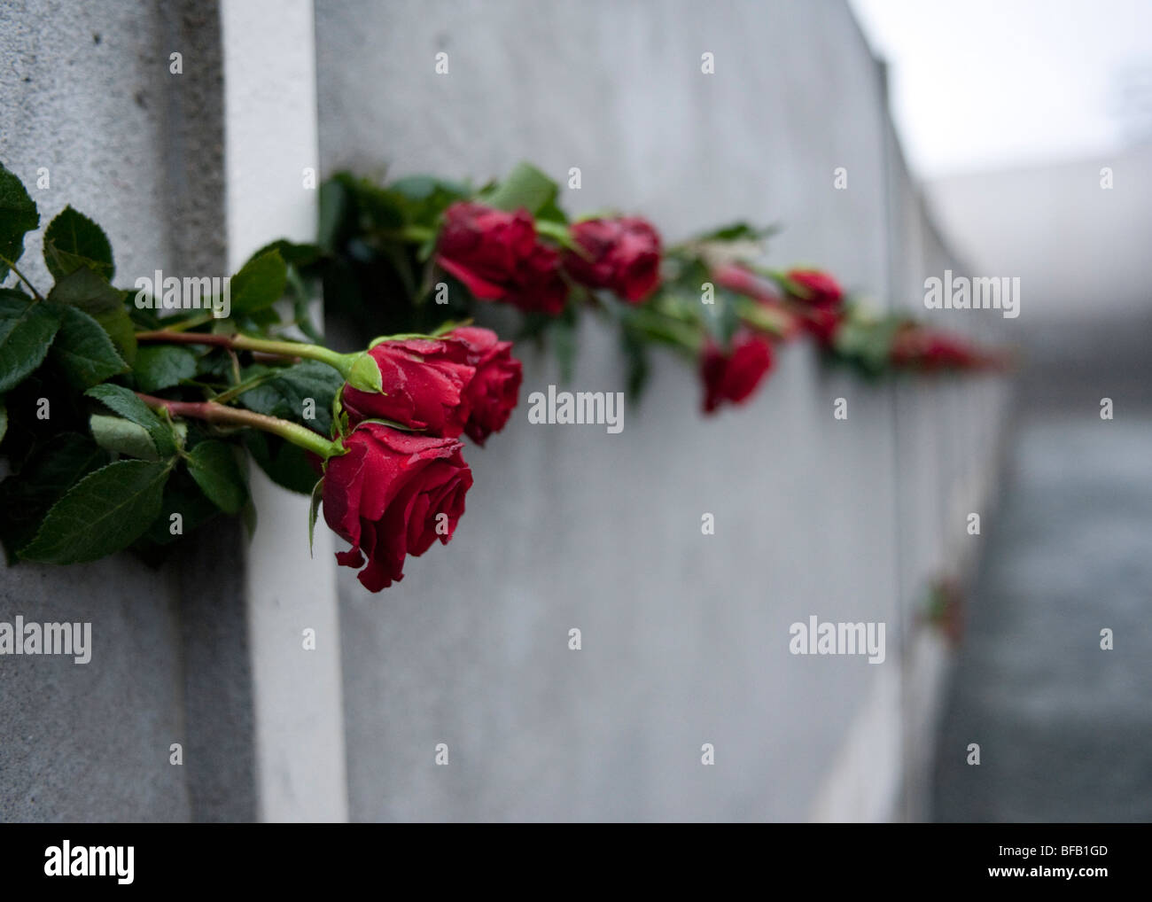 Roses rouges en mur de Berlin à 20e anniversaire de la chute du mur pour commémorer ceux qui sont morts en tentant de s'échapper Banque D'Images
