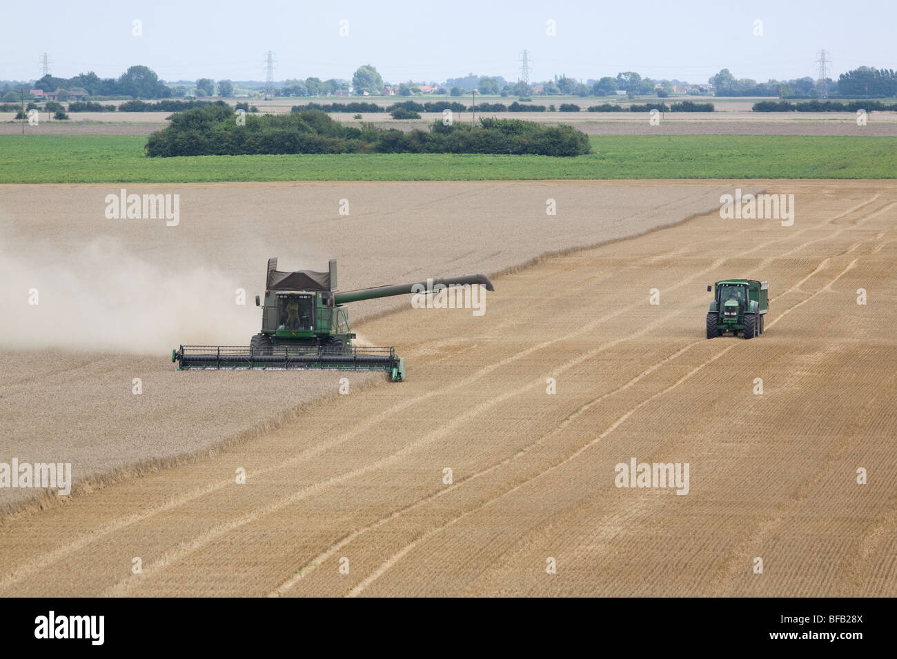 Moissonneuse-batteuse John Deere la récolte du blé dans le Lincolnshire Fens Banque D'Images