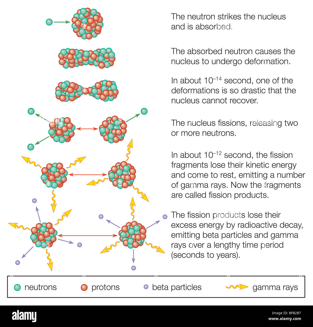 La fission de l'uranium d'un noyau Banque D'Images