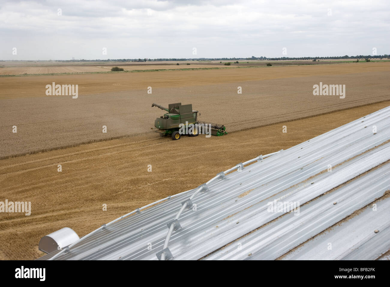 Moissonneuse-batteuse John Deere la récolte du blé dans le Lincolnshire Fens Banque D'Images