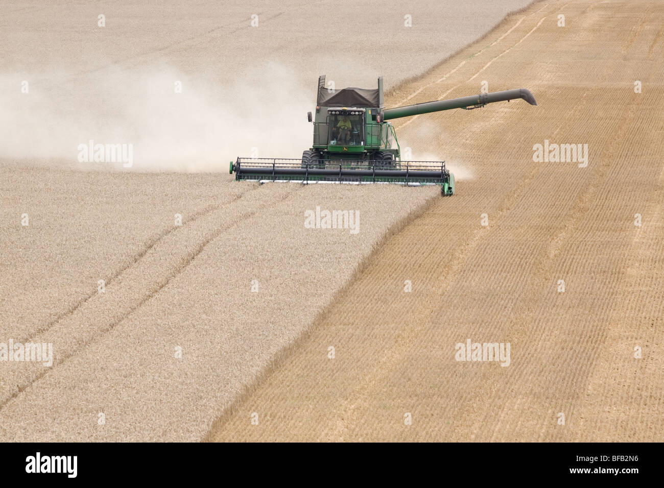 Moissonneuse-batteuse John Deere la récolte du blé dans le Lincolnshire Fens Banque D'Images