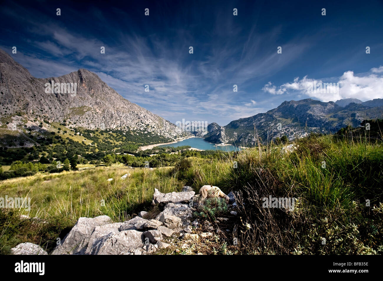 Gr 221 Banque de photographies et d’images à haute résolution - Alamy
