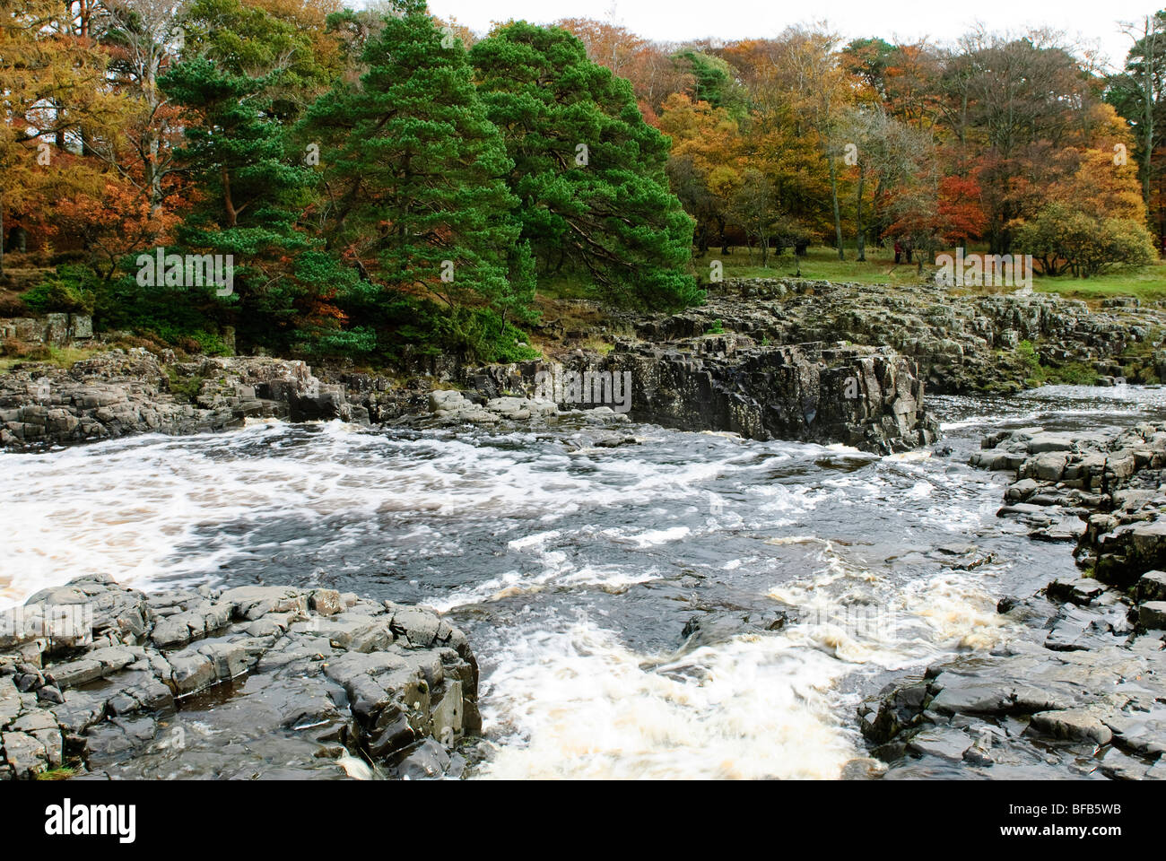 Cascade de la force faible, la région de Teesdale Banque D'Images