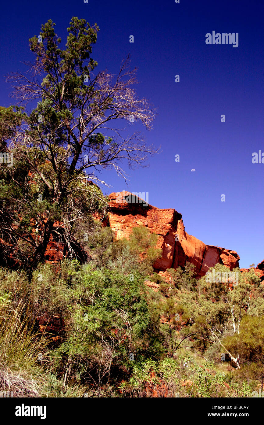 Lune croissante au Kings Canyon, Territoire du Nord, Australie Banque D'Images