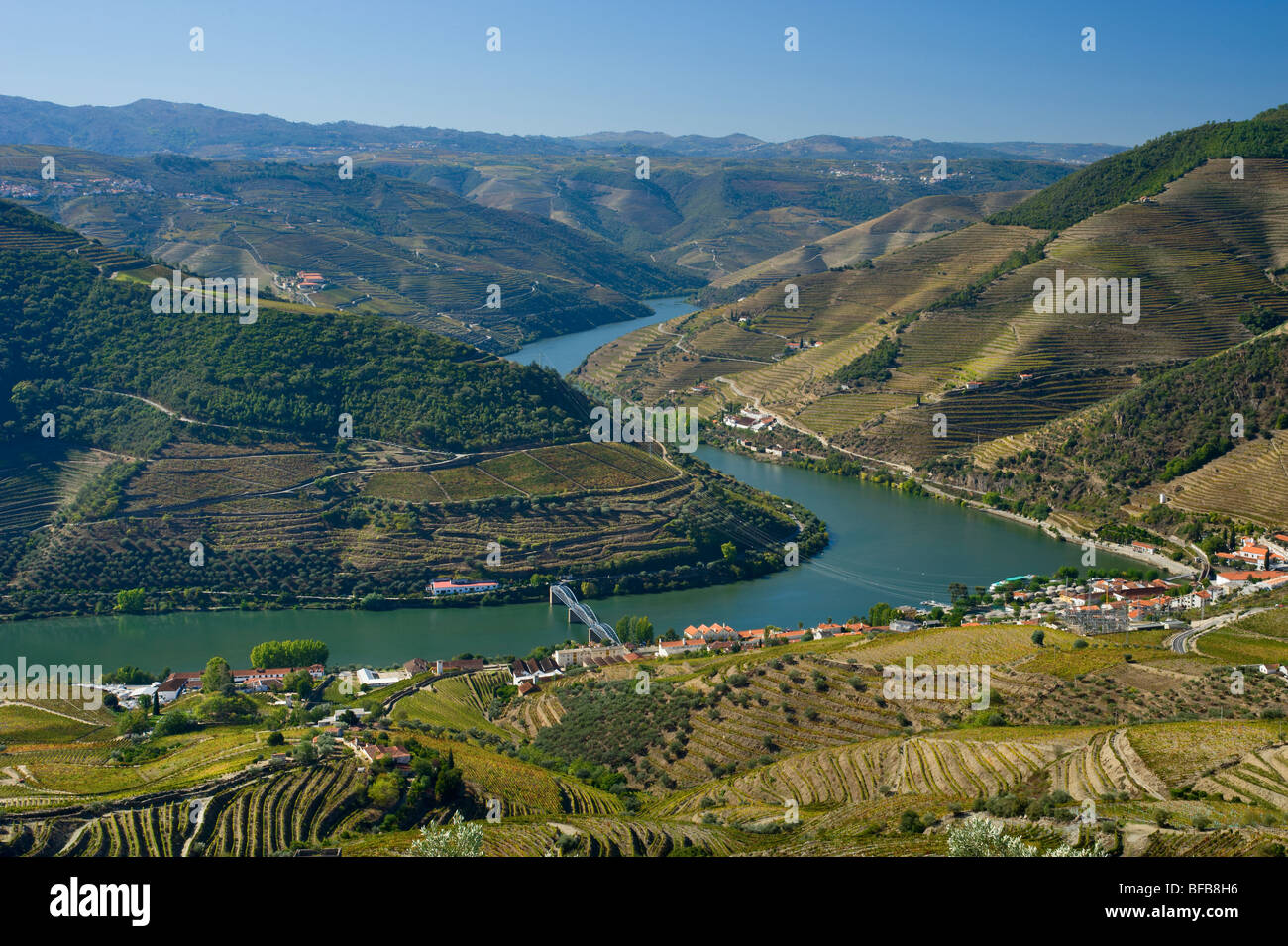 Le Portugal, la Vallée du Douro, Pinhão vu plus de vignobles en terrasses, à partir de l'miradouro de Casal de Loivos Banque D'Images