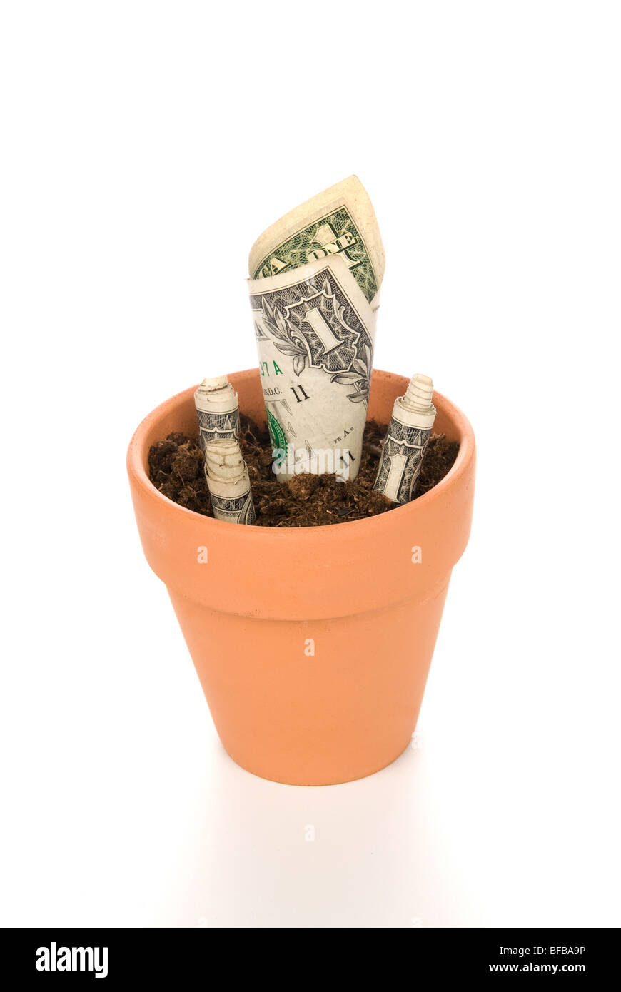Un pot de fleurs en argile avec une trésorerie en fleurs fleur. Bonne image pour l'investissement, la retraite, l'épargne des inférences. Banque D'Images