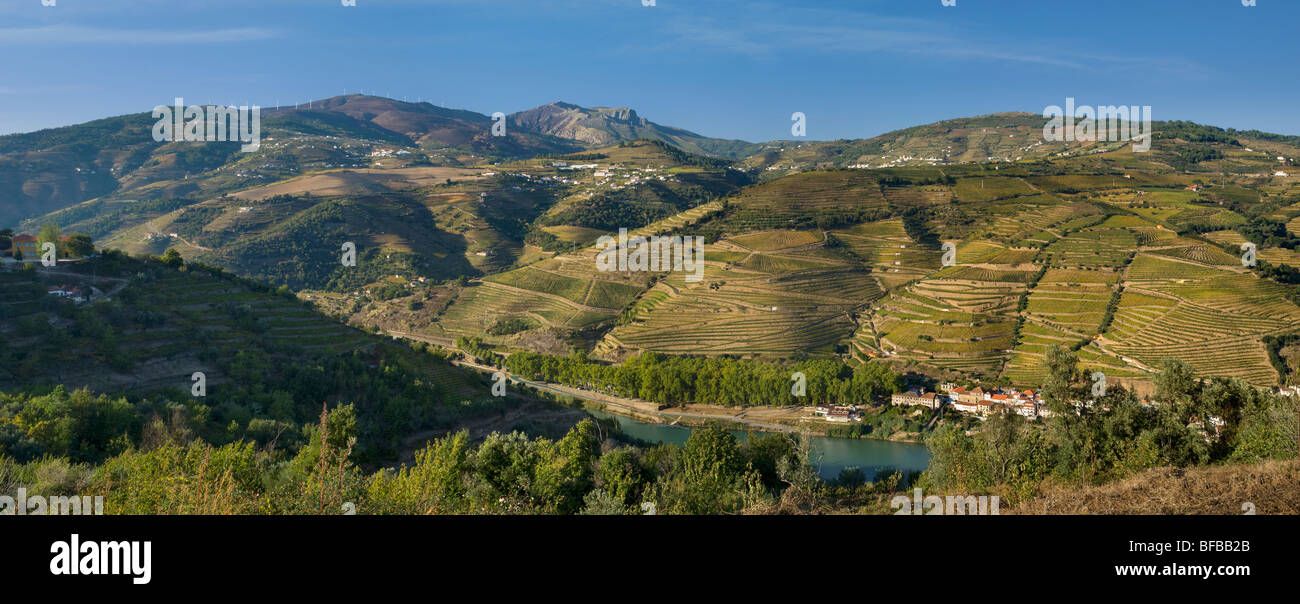 Portugal, la Vallée du Douro ; Alto Douro ; près de Regua et Mesao Frio Banque D'Images