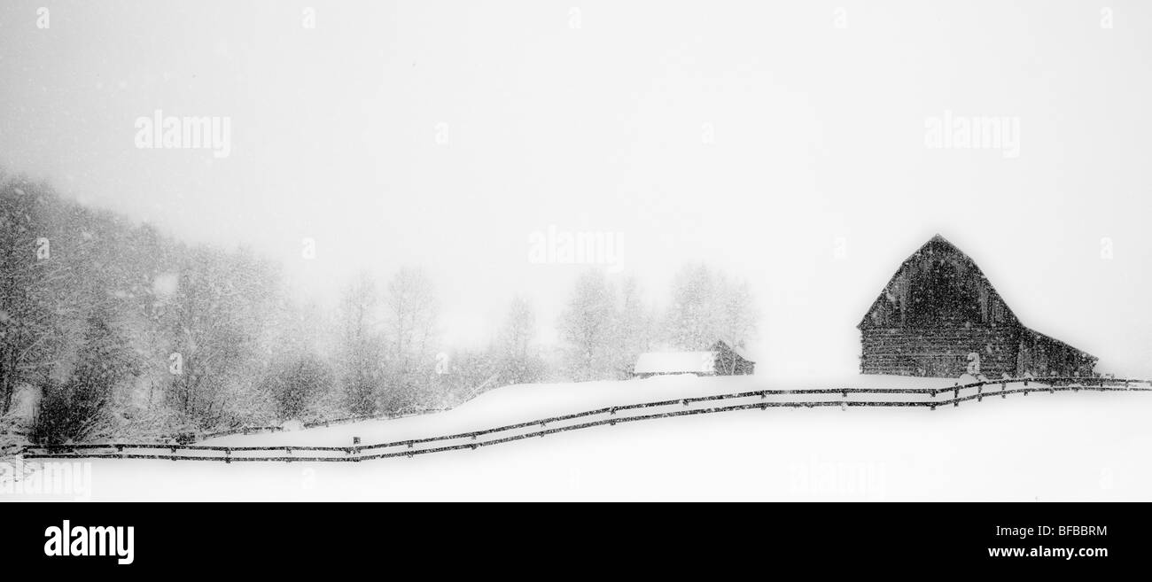 Blizzard Banque D'Images