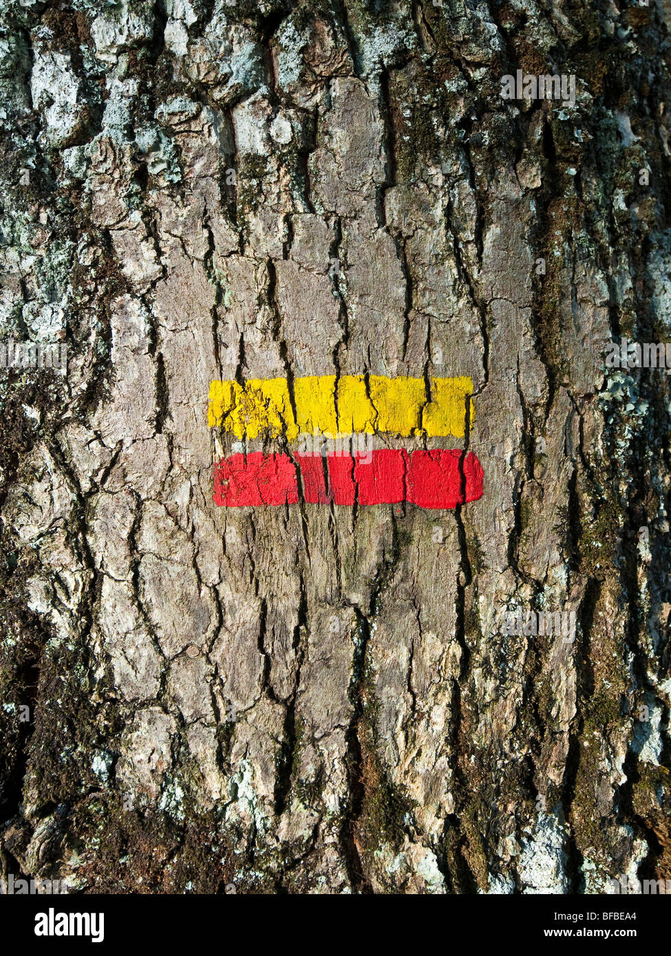 Sentier Public droit de passage les marqueurs sur tronc d'arbre de chêne - France. Banque D'Images
