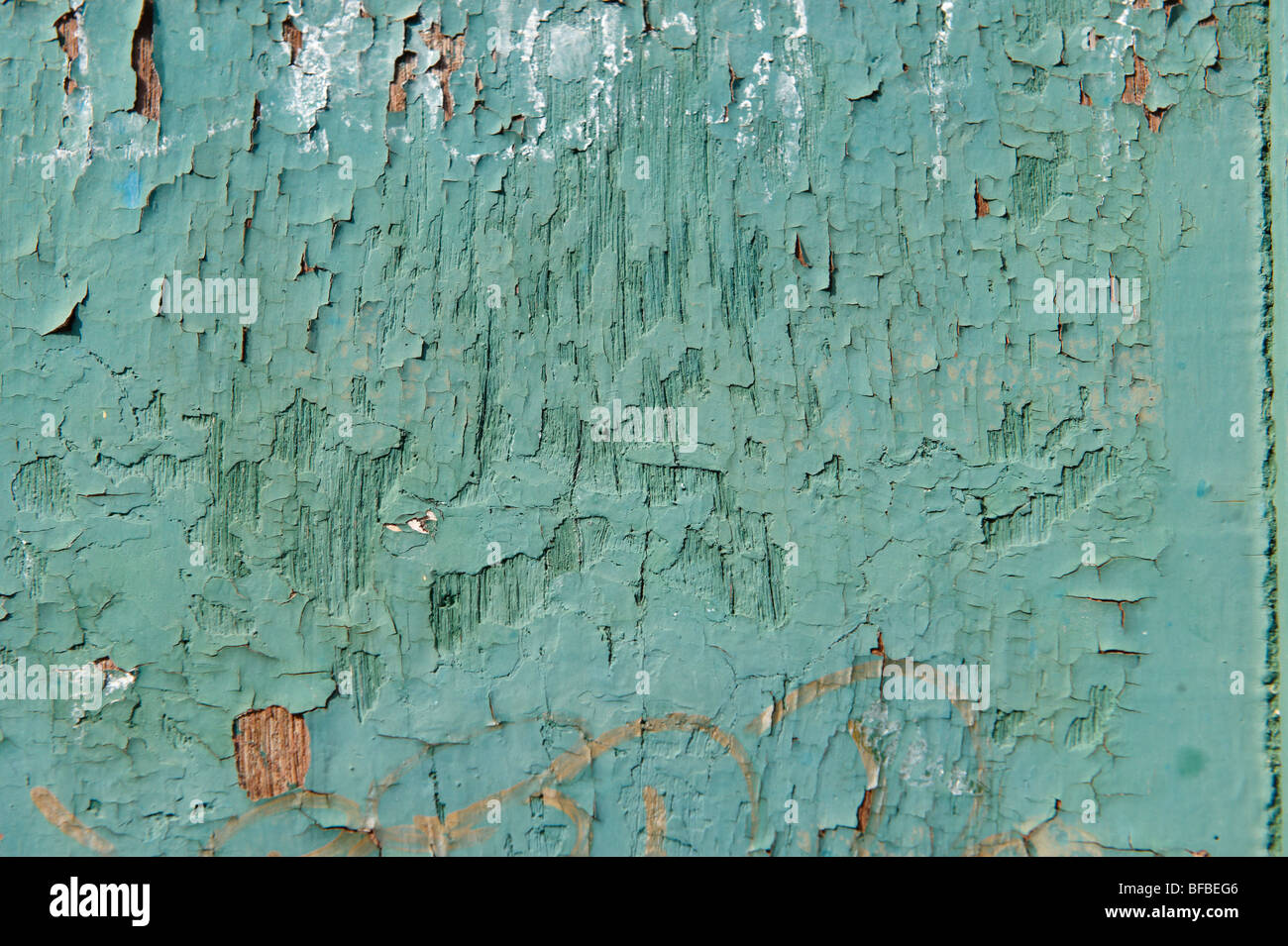 Gros plan de peinture écaillée sur bois, peinture de levage rustique Banque D'Images