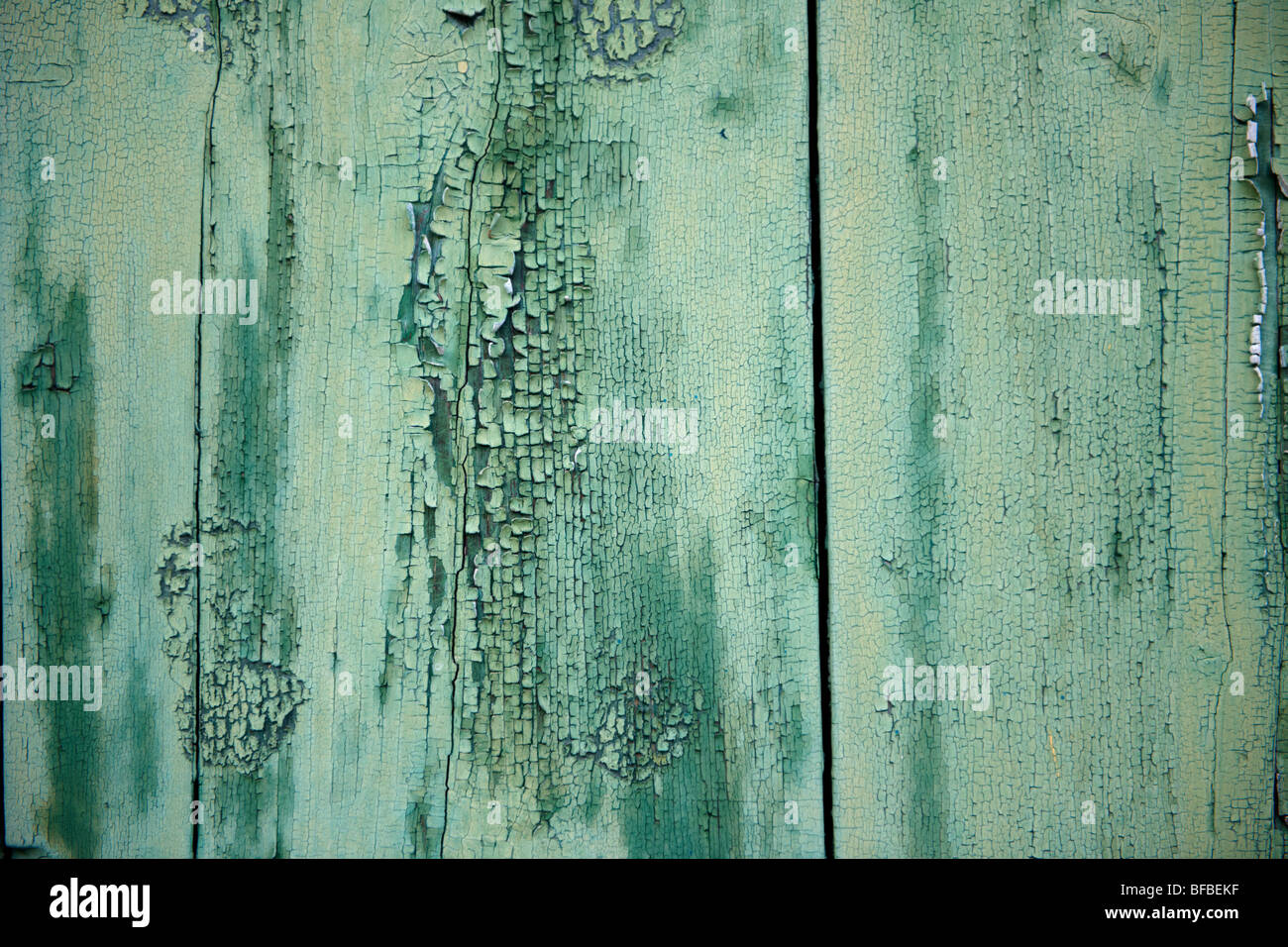 Gros plan de peinture écaillée sur bois, peinture de levage rustique Banque D'Images