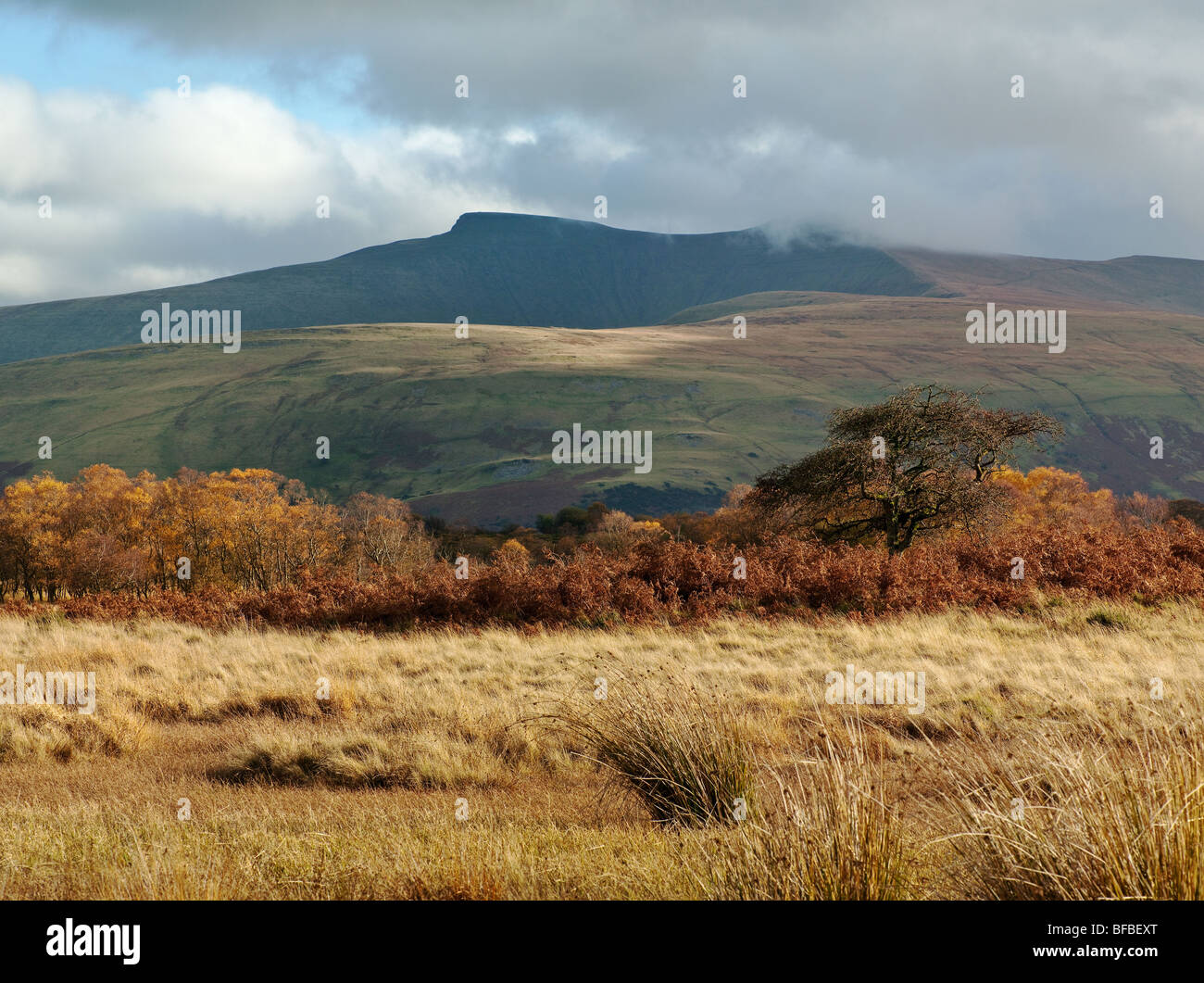 Vue de PEN-Y-FAN ET DU MAÏS DE TRAETH MAWR NR Les Brecon Beacons Mountain Centre Banque D'Images