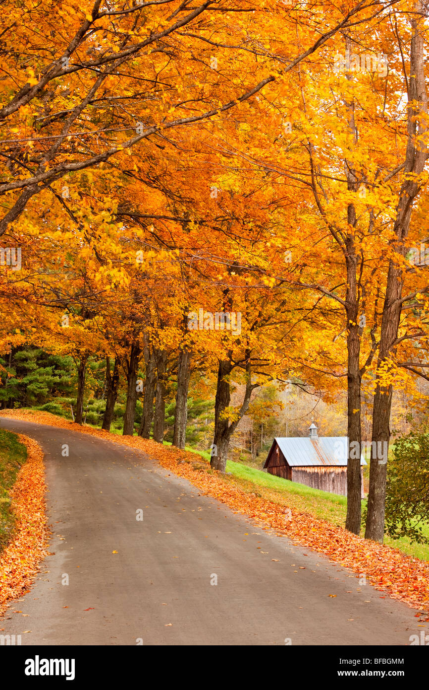 Route de campagne à l'automne près de Woodstock, Vermont USA Banque D'Images