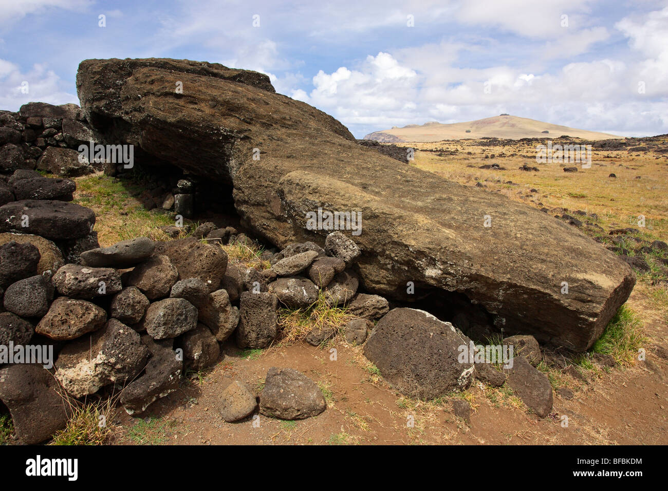 Moai tombé dans l'ahu Te Pito Kura, île de Pâques (Rapa nui) ou de Pascua, Chili, Site du patrimoine mondial de l'UNESCO Banque D'Images