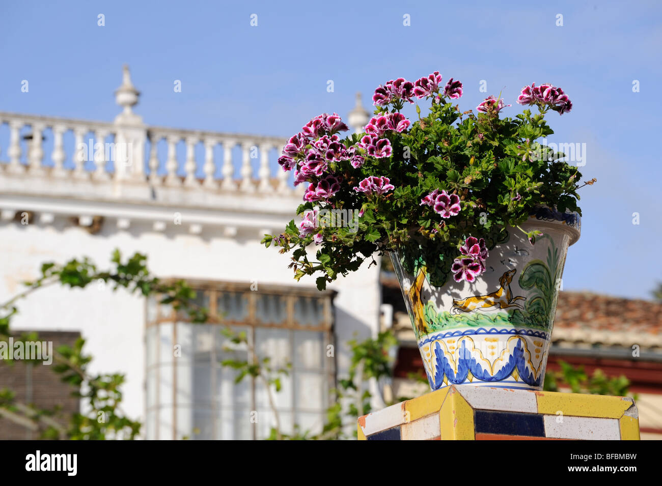 HIguera de la Sierra Huelva Andalousie Espagne village blanc pueblo blanco Plaza de la concepcion pots de fleurs Banque D'Images