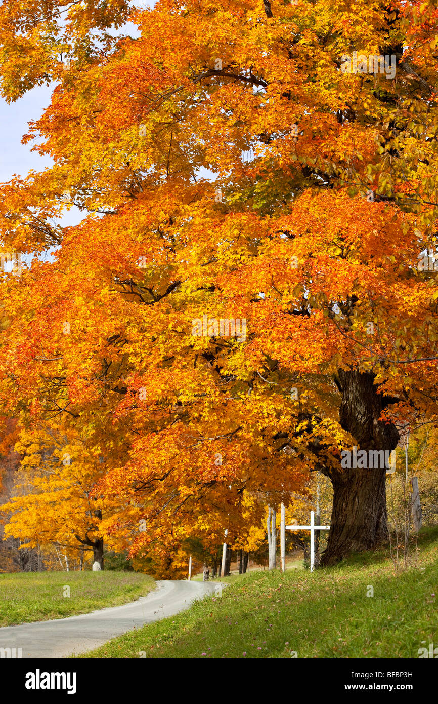 Route de campagne à l'automne près de Woodstock, Vermont USA Banque D'Images