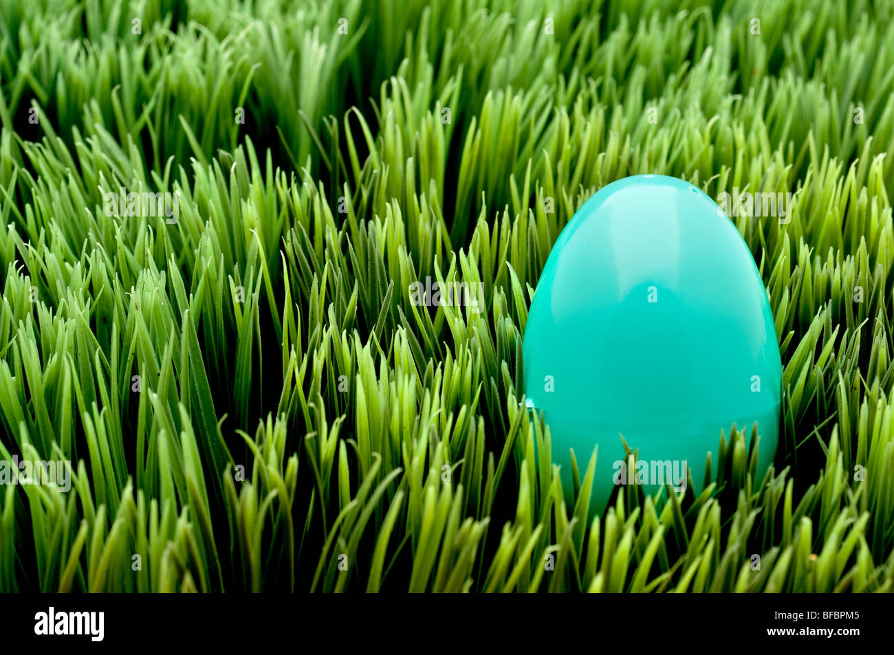 Image horizontale d'un oeuf de Pâques turquoise on Green grass Banque D'Images