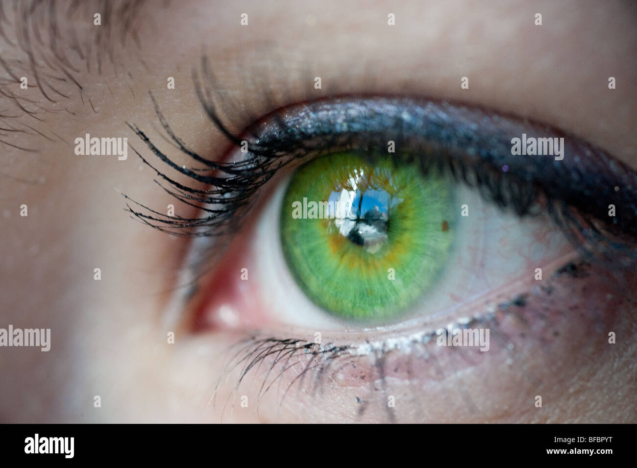Oeil vert avec fenêtre reflet Banque D'Images